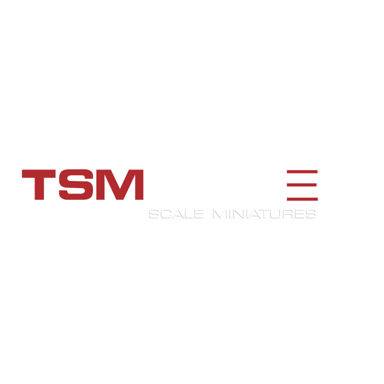 TSM-Model Logo