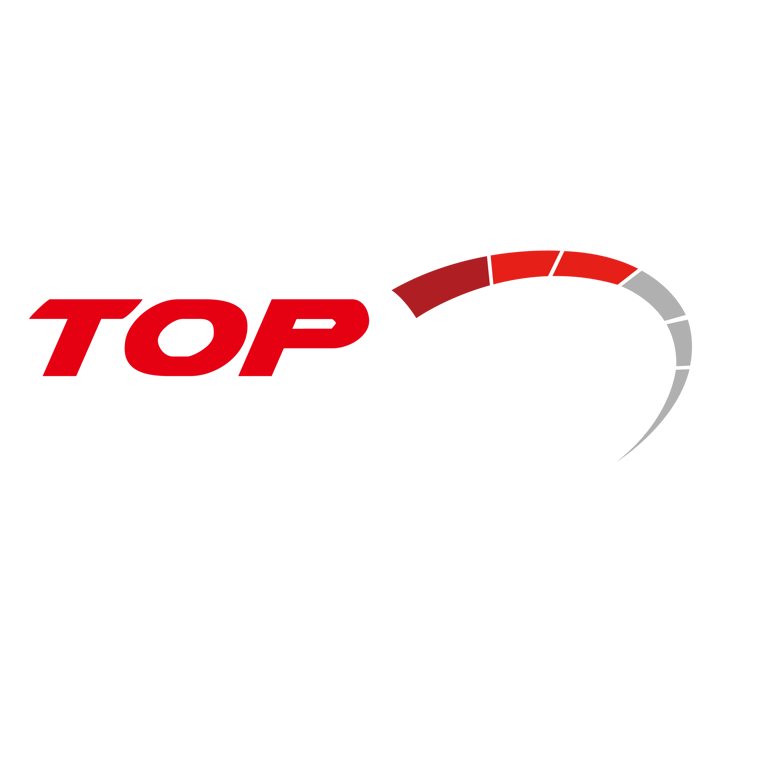 TOP SPEED Model Logo